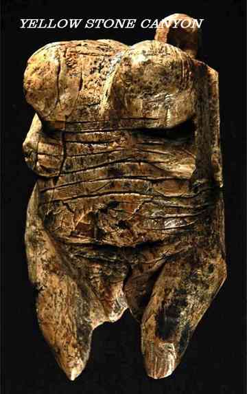 Yellow Stone Canyon Poster