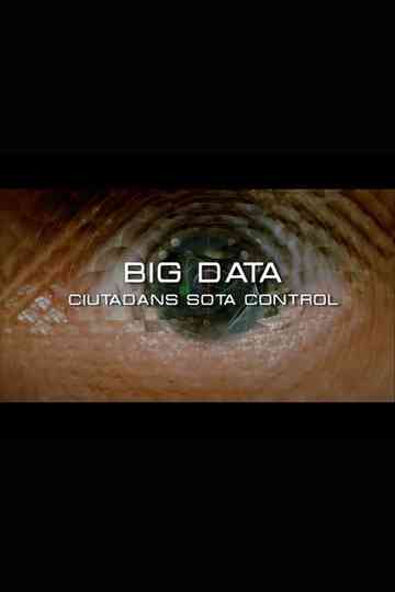 Big Data. Ciudadanos bajo control Poster