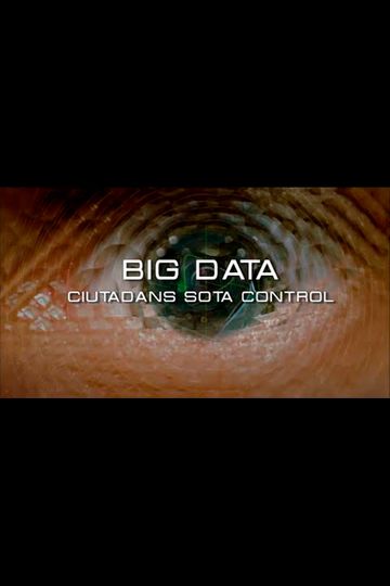 Big Data. Ciudadanos bajo control