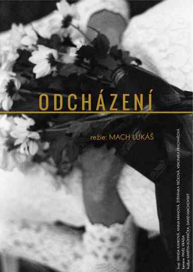 Odcházení Poster