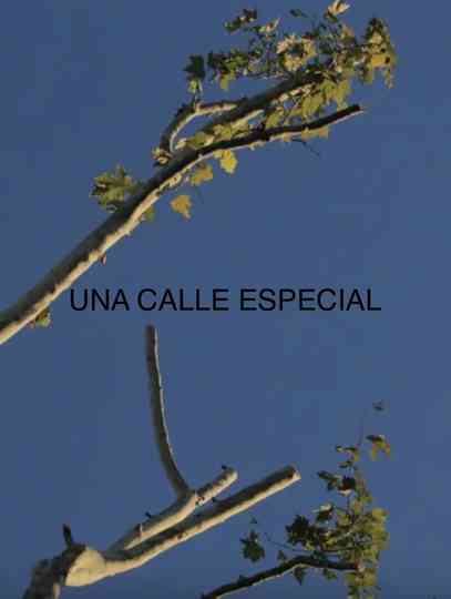 Una Calle Especial Poster