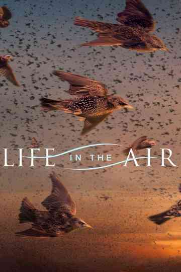 Life in the Air Poster