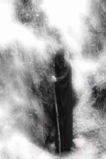 Walker of Dissonant Worlds Poster