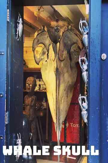 Whale Skull Poster