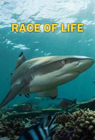 Race of life Poster