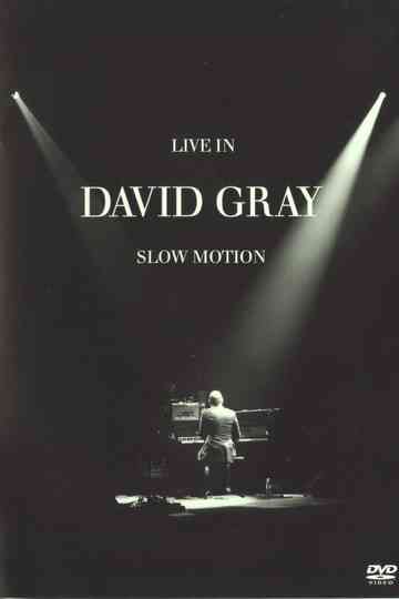 David Gray: LIVE in Slow Motion Poster