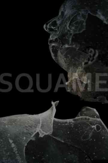 Squame poster