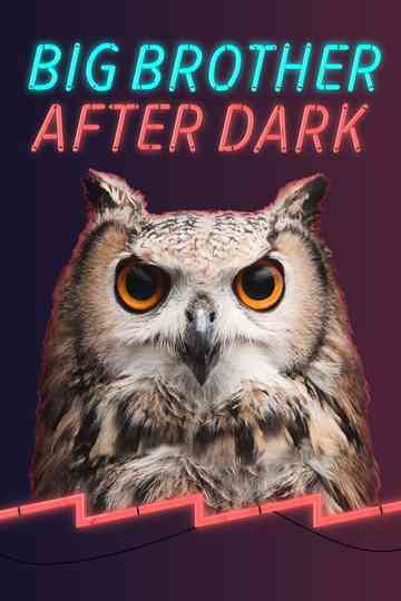 Big Brother: After Dark Poster