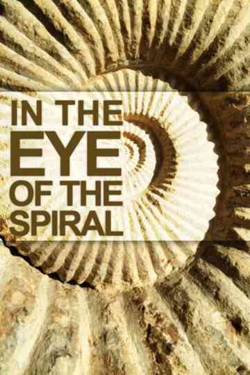 In the Eye of the Spiral Poster