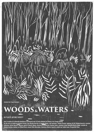 Woods and Waters Poster