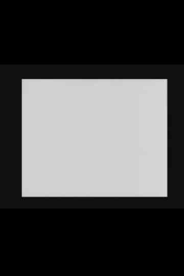 The Flicker Film Poster