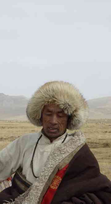 The Grassland Poster