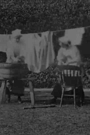 Washing the Sweep poster