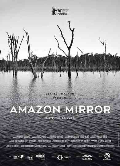 Amazon Mirror Poster