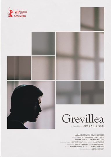 Grevillea Poster