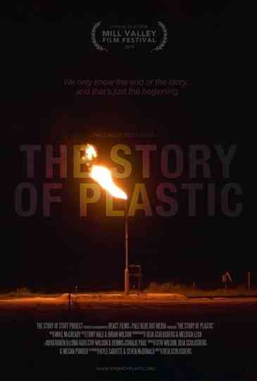 The Story of Plastic Poster