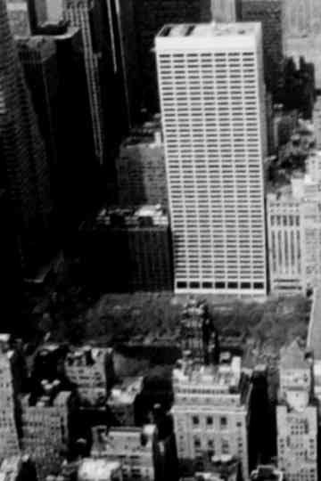 Waste no. 4 New York, New York Poster