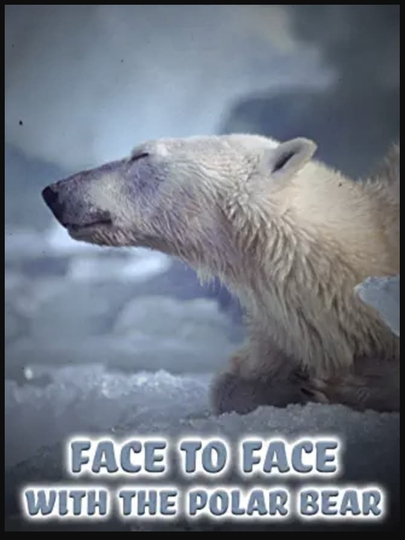 Face to Face with the Polar Bear