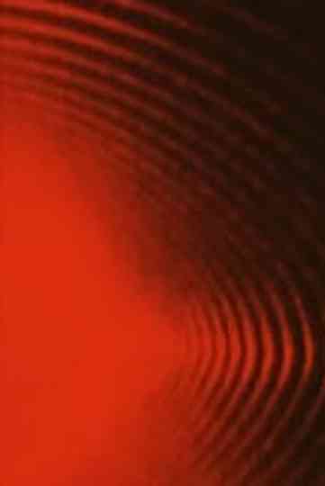 Black Sunfight Poster