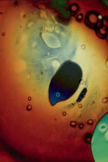 A Peculiar Week in My Dream Journal May 1973 Poster