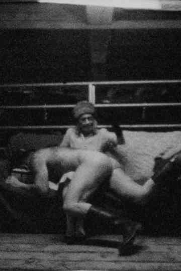 Dark Scenes from the Barn Poster