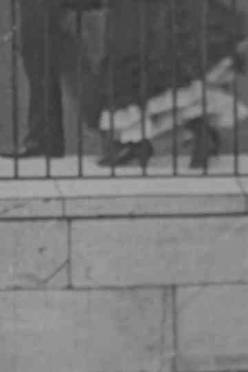 Photograph Taken From An Area Window Poster