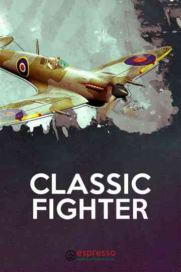 Classic Fighter Poster