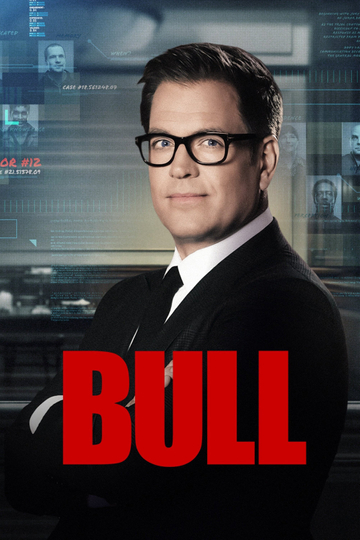 Bull Poster