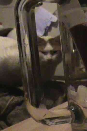 Hux Flux the Son of Fig Poster