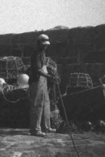 The Essential Cornishman Poster