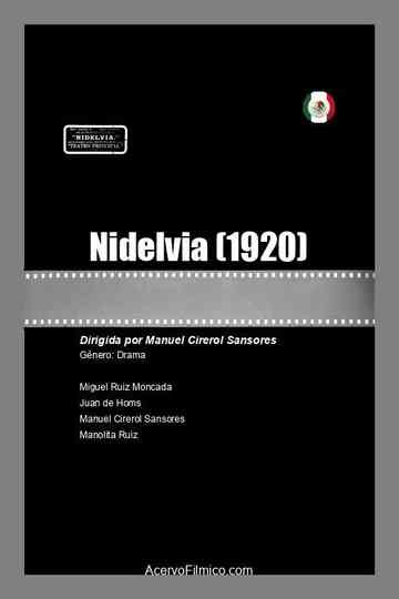 Nidelvia Poster