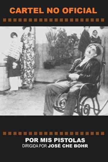 Por mis pistolas poster