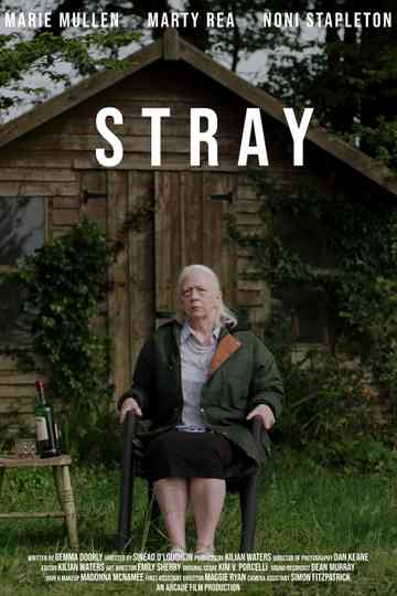 Stray Poster