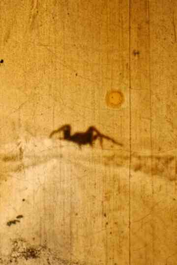 Bielefeld Lichtwerk Poster