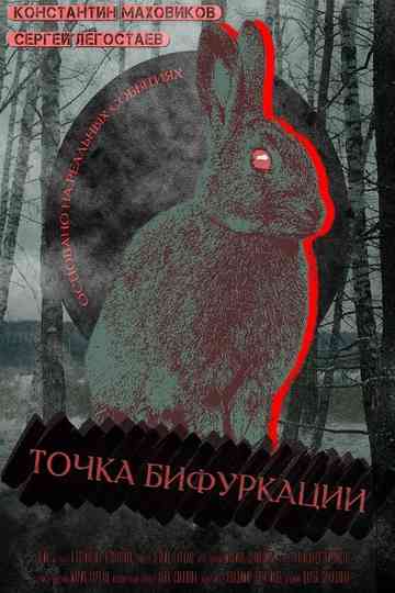 Point Of Bifurcation Poster