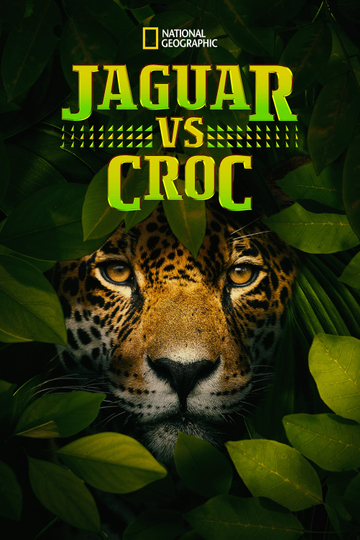 Jaguar vs Croc