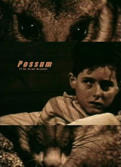 Possum Poster