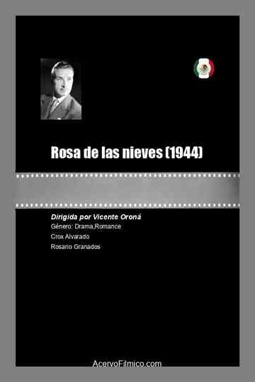 Rosa de las nieves Poster