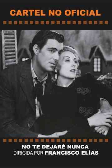 No te dejaré nunca Poster