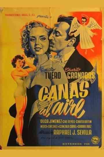 Canas al aire Poster