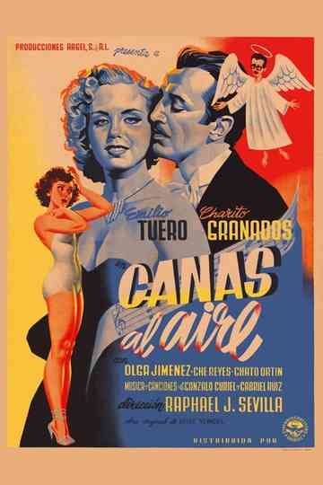 Canas al aire poster