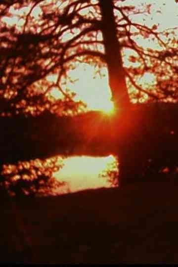 Imaginary Friend Poster