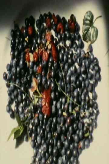 Villa Dionisia Poster