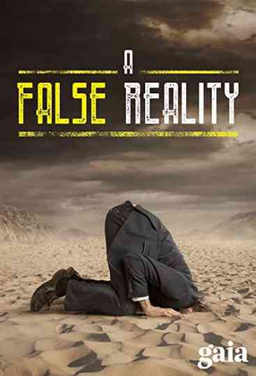 A False Reality Poster