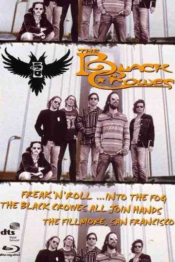 The Black Crowes  Freak n Roll Into the Fog