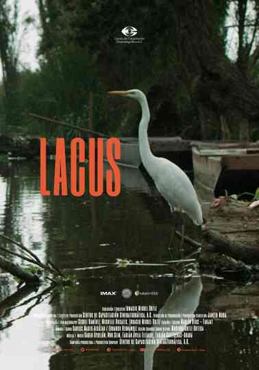 Lacus Poster