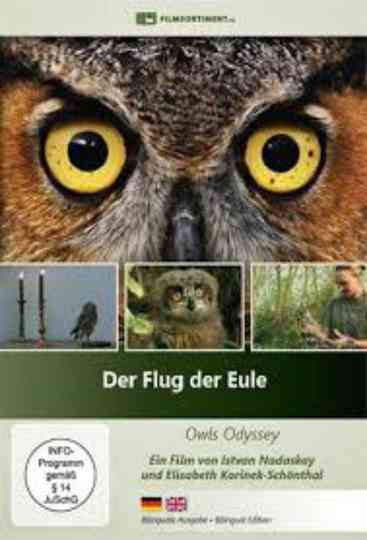 Der Flug der Eule Poster