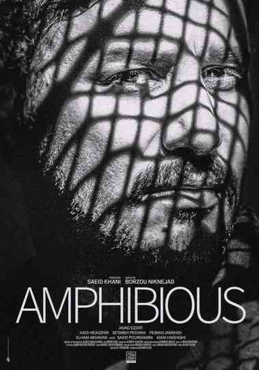 Amphibious Poster