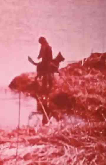 Hobo and the Runaway Poster