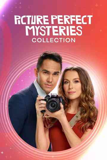 Picture Perfect Mysteries Collection Poster
